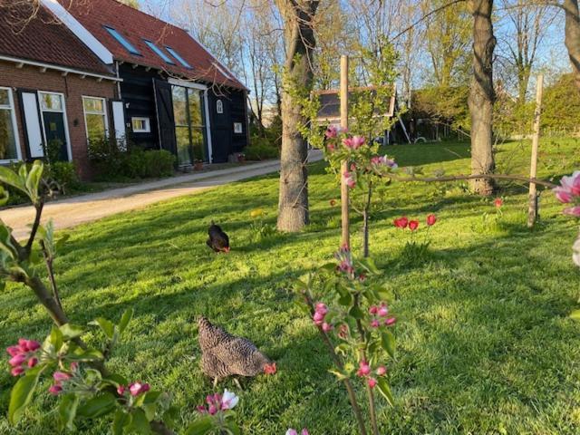 B&B Boerderij De Vaete - Duurzaam Genieten In De Zak Van Zuid-Beveland Heinkenszand Esterno foto